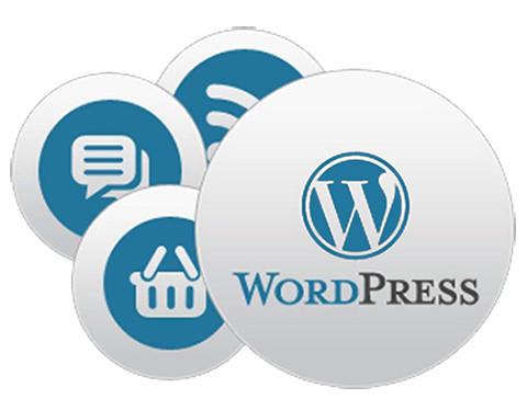 We Are Passionate About WordPress